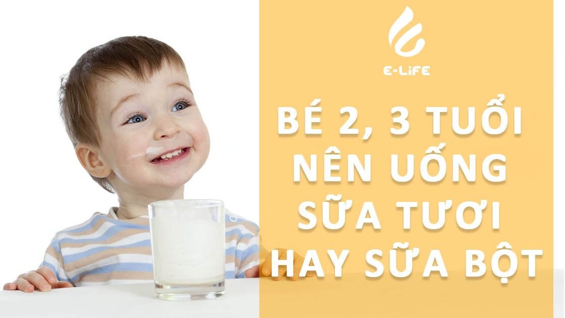 Bé 2 đến 3 tuổi nên uống sữa bột hay sữa tươi