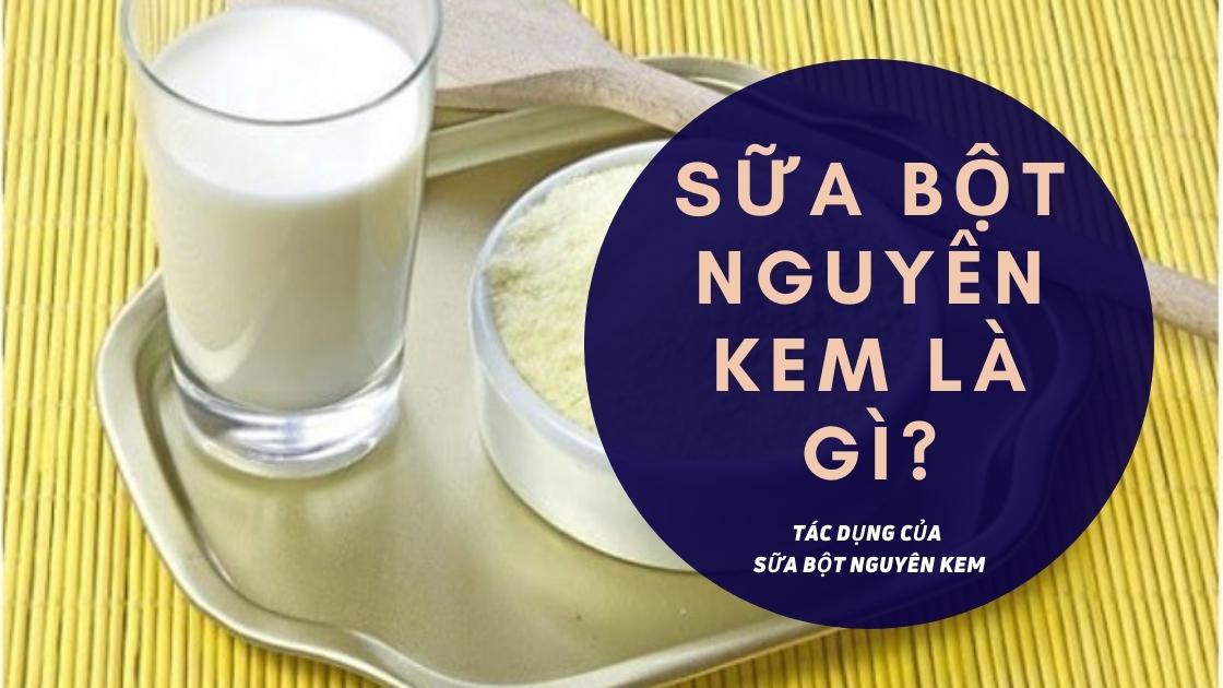 Sữa bột nguyên kem là gì? Có phải là sữa bột giúp tăng cân? Elife nhà cung cấp bán buôn sữa bột, sữa non, sữa dê giá sỉ các loại toàn quốc