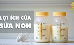 Lợi ích của sữa non - Nguồn dinh dưỡng dồi dào cho trẻ
